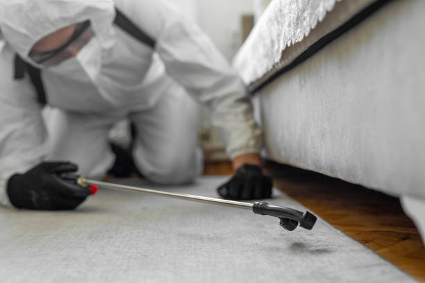 Professional Termite Control technician working in Carthage, NY